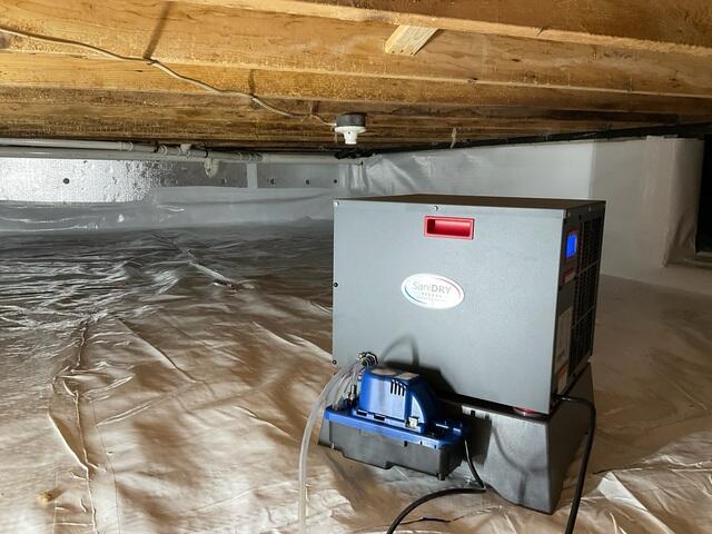 Dehumidifier