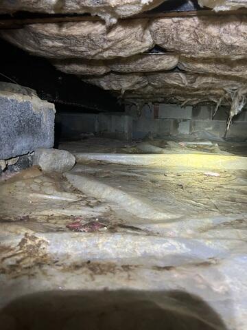 Crawl Space