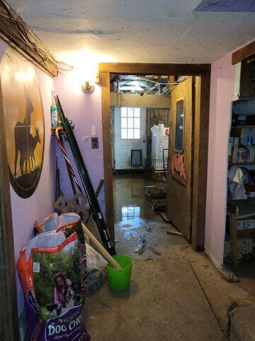 Wet Basement