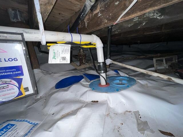 TripleSafe™ Sump Pump