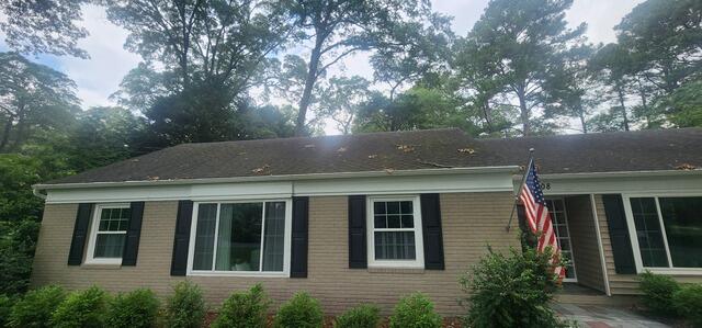 Moss Removal