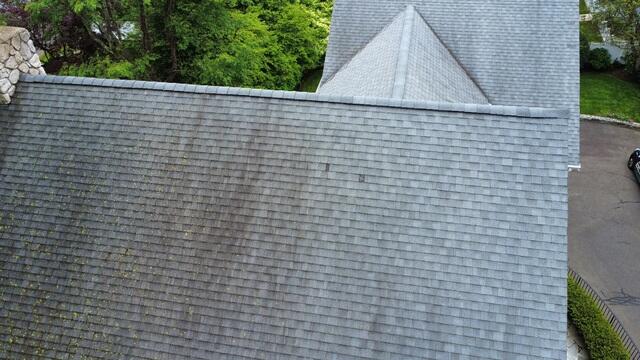 Before: Algae and Moss