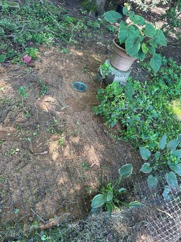 LawnScape