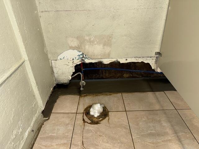 WaterGuard Drainage System