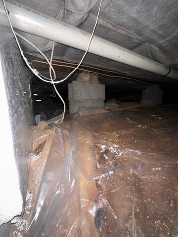 Wet Crawl Space Conditions