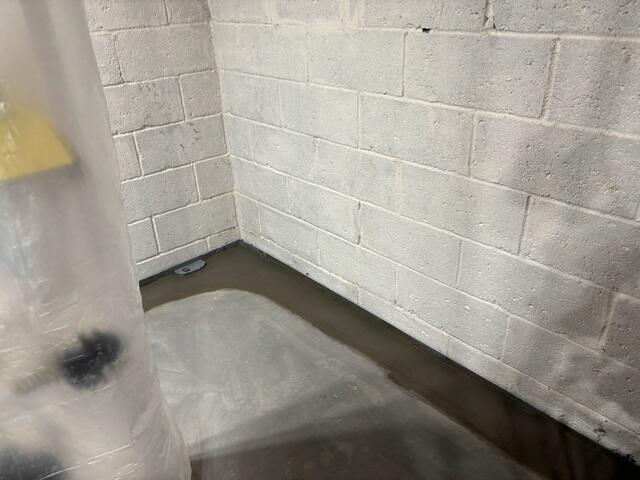 WaterGuard Drainage System