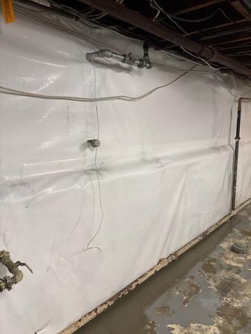 CleanSpace Wall Panels