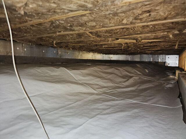 CleanSpace Liner