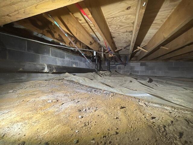 Dirty, Moldy Crawl Space