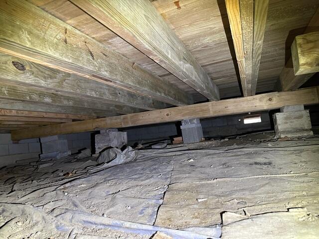 The Crawl Space