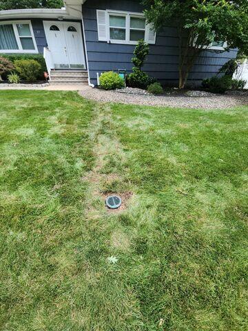 LawnScape