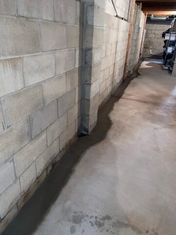WaterGuard Drainage System
