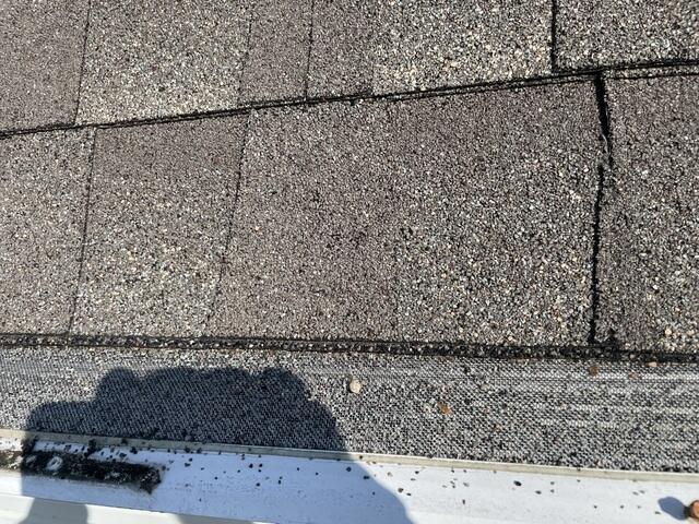 Gutter screens full of debris