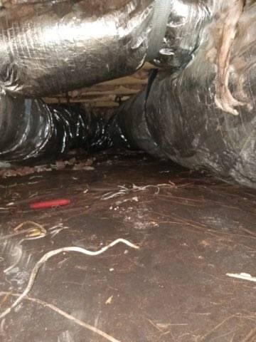 Wet Crawl Space