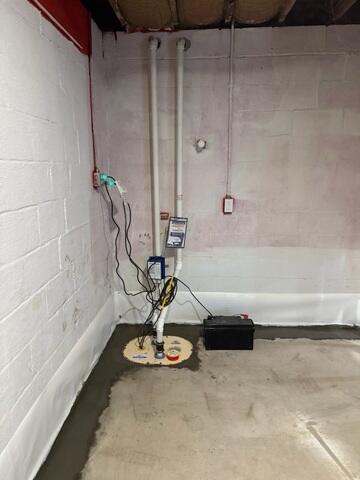 TripleSafe Sump Pump in Nicholasville, KY