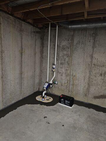 TripleSafe™ Sump Pump