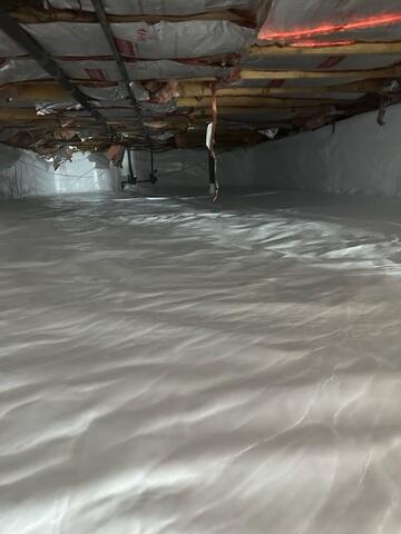 CleanSpace