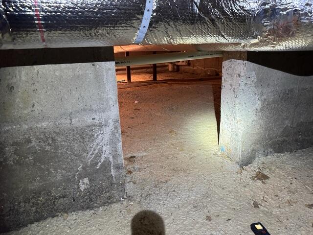 Basement - Before