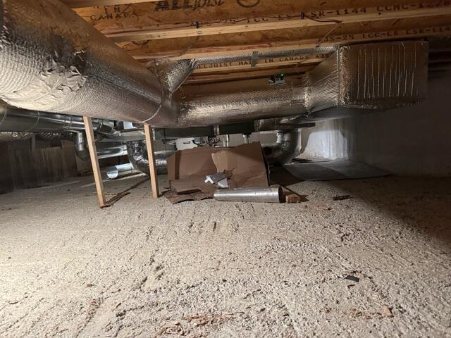 Basement - Before