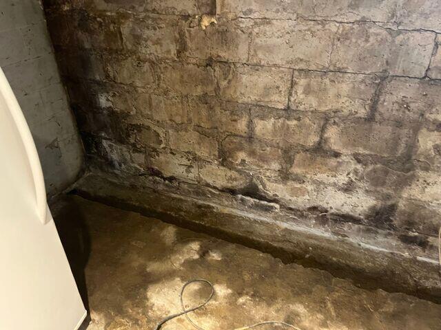 Dégâts dus à la moisissure et à l'humidité sur un mur de sous-sol
