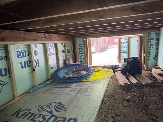 Crawlspace - Before