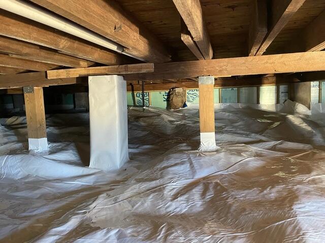 New CleanSpace
