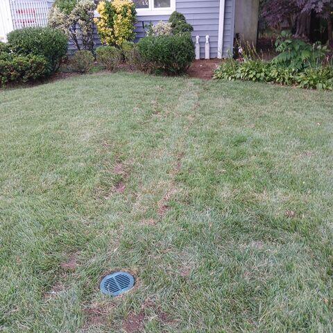 LawnScape