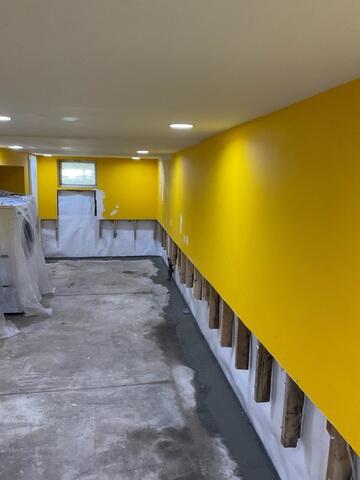 CleanSpace Wall Panels