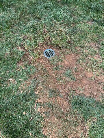 LawnScape