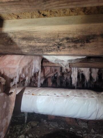 Moldy Crawl Space