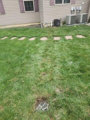 LawnScape