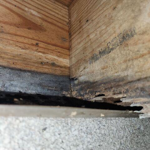 Moisture Issues
