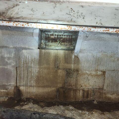 Crawl Space Vents