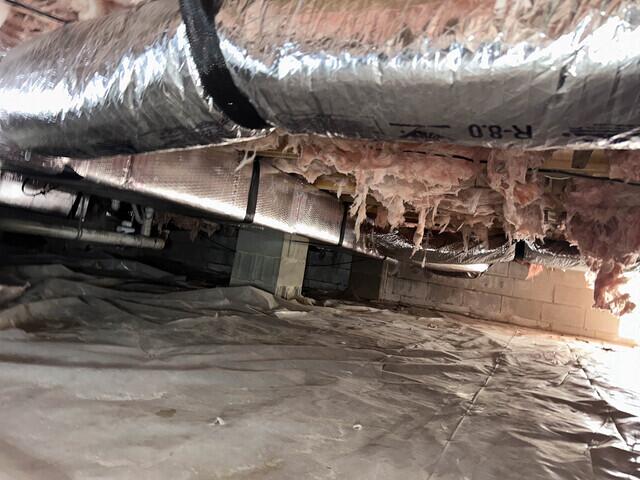 Existing Liner