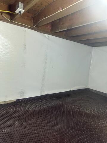 CleanSpace