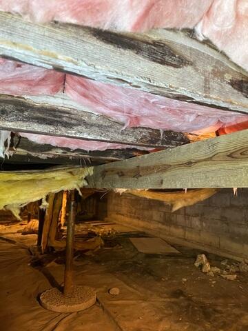 Wood Rot in Crawl Space in Hamersville, OH