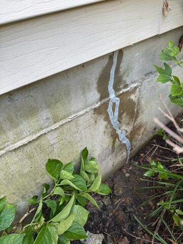 Sealed Crack