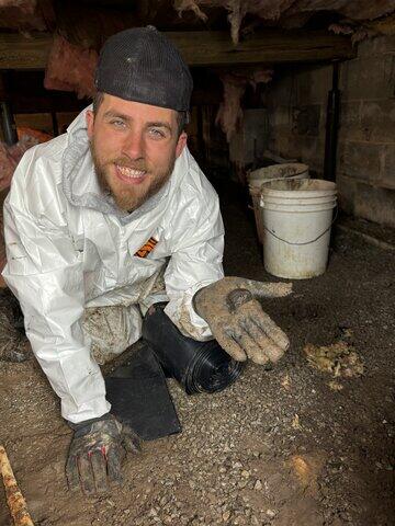 Salamander in Crawl Space in Hamersville, OH