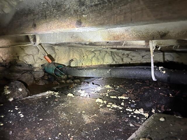 Crawlspace - Before