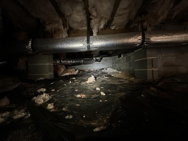 Crawl Space Encapsulation in Tallahassee, FL