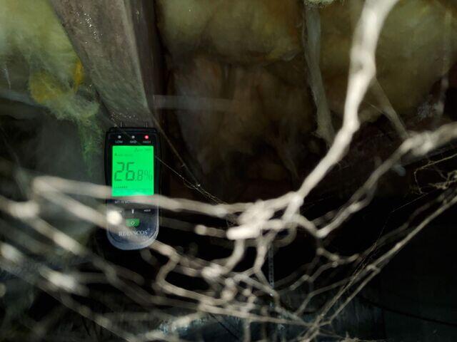 High Moisture Content in Floor Joist