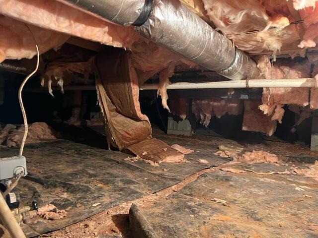 Severe Insulation Damage and Moisture Exposure in Hurdle Mills Crawl Space