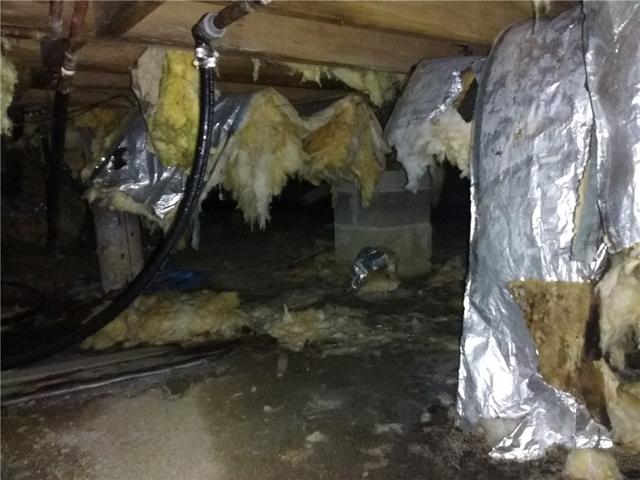 Moldy Crawl Space in Barnegat Light, NJ