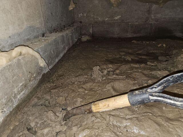 Muddy Floors