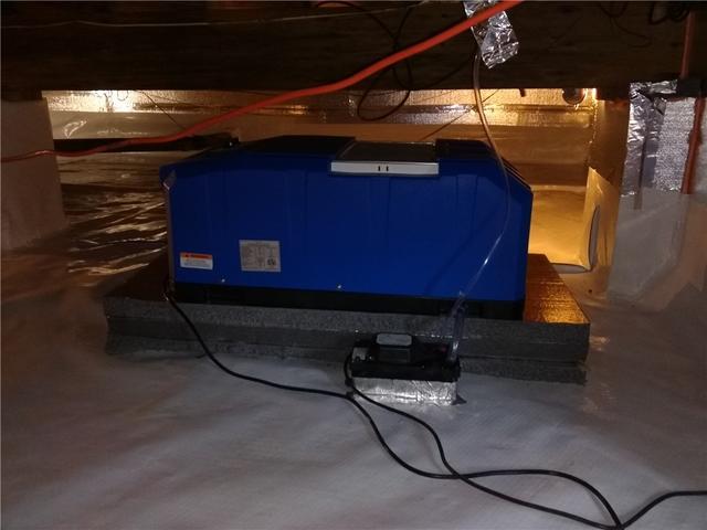 SaniDry Basement Dehumidifier