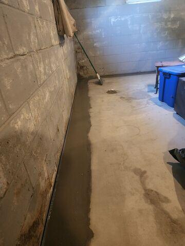 WaterGuard Drainage System