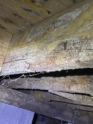 Moldy and Rotted Crawl Space Wood