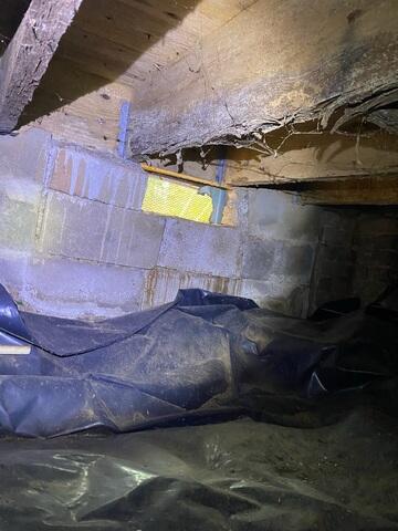 Nasty Crawl Space Wood