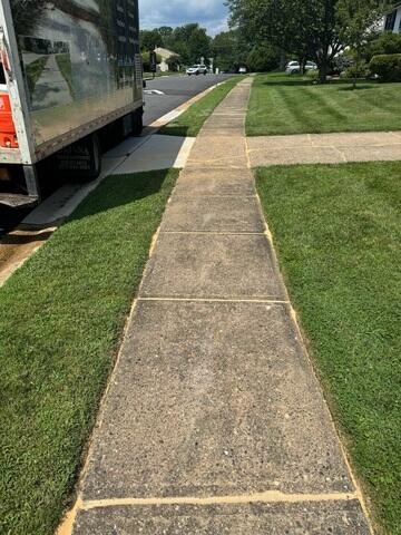 Sidewalk Repair