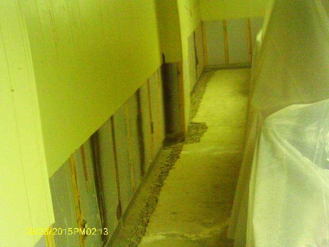 Out with the old...and mold!